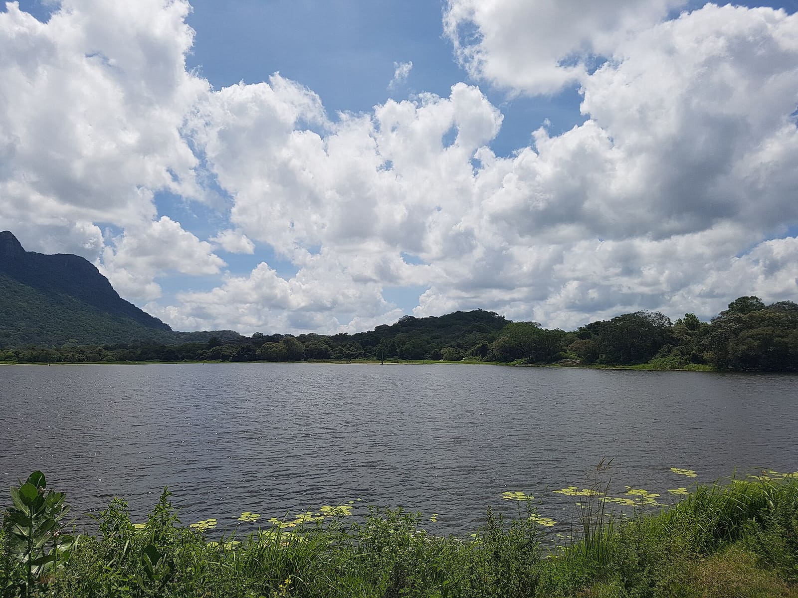 Parakrama Samudra, the twelfth-century reservoir at Polonnaruwa, Sri Lanka